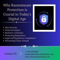 Why Ransomware Protection is Crucial in Today's Digital Age