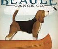 Pet Care Portland