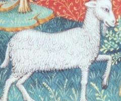 Needlepoint canvas