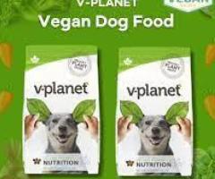 Best Food for Obese Dogs Dubai