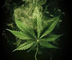 Find the Best Pot Dispensaries in Detroit Today