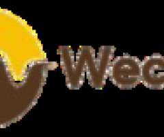 Leading Manufacturer of High-Quality Coir Sheets | WeCoir