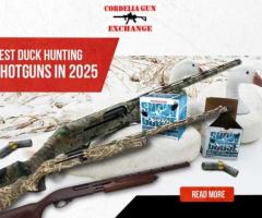 What is the best semi auto shotgun for duck hunting