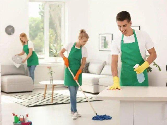 Professional Regular House Cleaning Service in Ōtaki