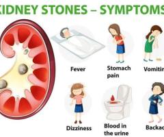 How a Kidney Stone Specialist Diagnoses and Treats Stone Pain
