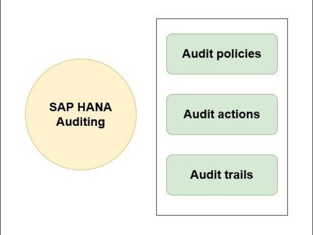 SAP S/4 HANA Audits