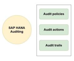SAP S/4 HANA Audits