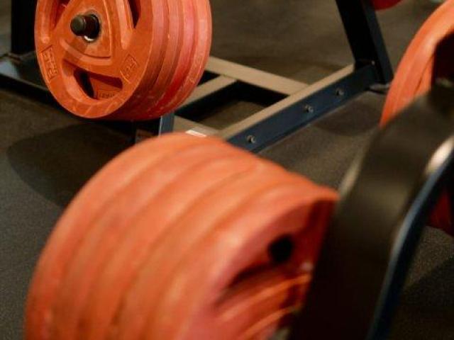 Gym & Fitness Center SEO Services – Increase Traffic & Sales (SEO-Friendly Description