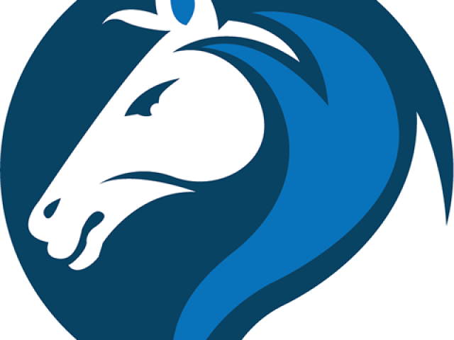 Promote, and Grow with The Indian SEO Company’s SEO and Digital Marketing Services