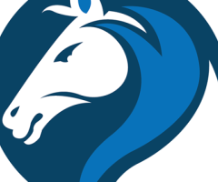 Promote, and Grow with The Indian SEO Company’s SEO and Digital Marketing Services