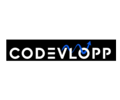 Website Development Company in Dubai, UAE - CoDevlopp