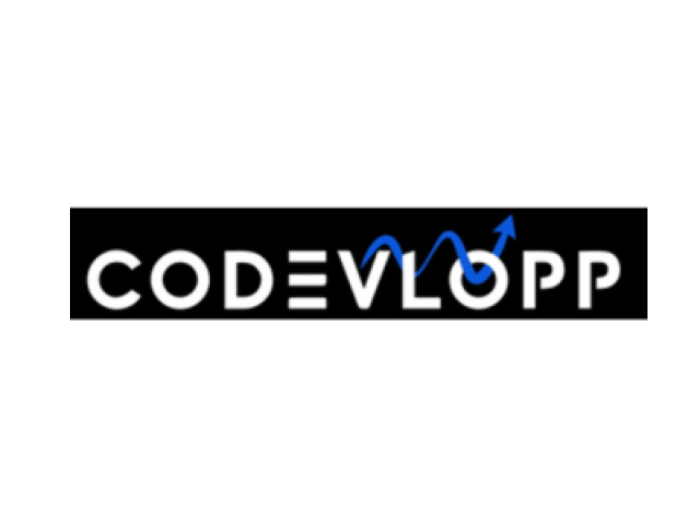 Website Development Company in Dubai, UAE - CoDevlopp