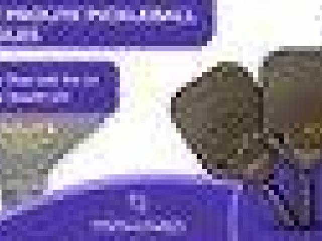 Prolite Titan LRG Pro LX – USA Pickleball Approved