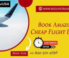 Amazing Cheap Flight Deals