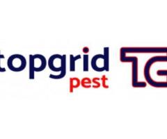 Pest Control Termites Singapore