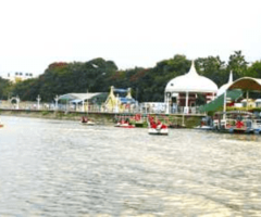 Top 5 Scenic Boating Places in Bangalore for a Fun Day Out
