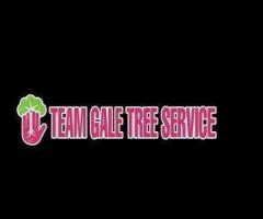 Team Gale Tree Service