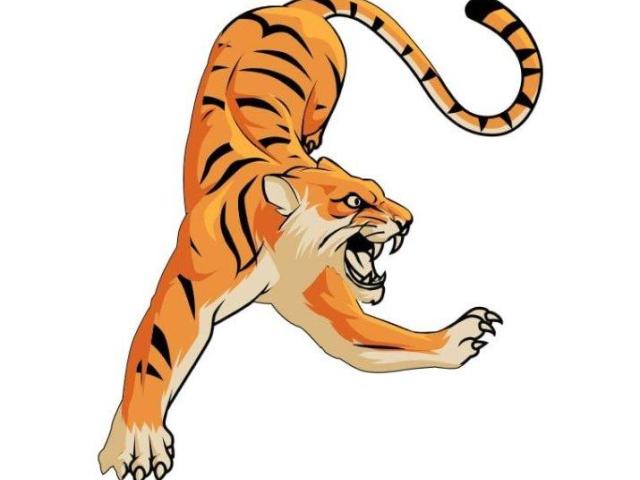 Digital marketing company in Canada