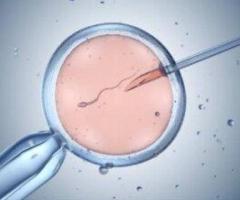 Inclusive Best IVF Center in Kolkata | Advanced Fertility Care at Uma Medical