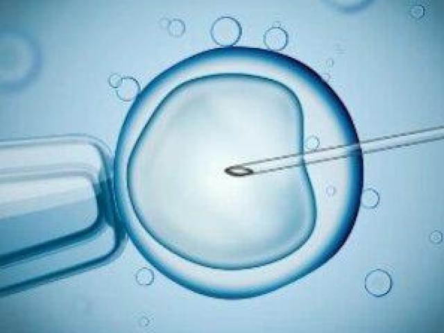 IVF Treatment in Kolkata | Advanced Fertility Care at Uma Medical