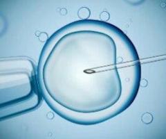 IVF Treatment in Kolkata | Advanced Fertility Care at Uma Medical