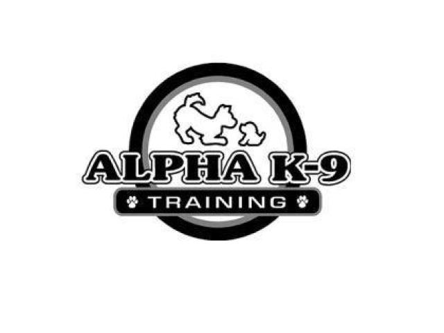 Alpha K-9 Dog Training
