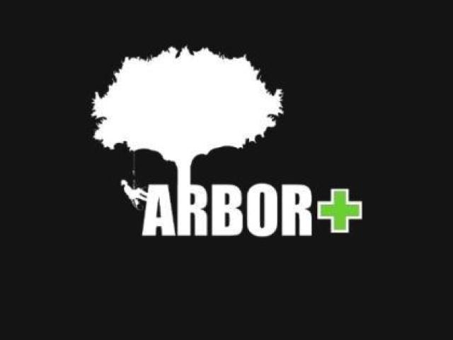Arbor Plus
