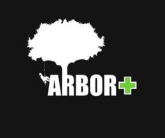 Arbor Plus