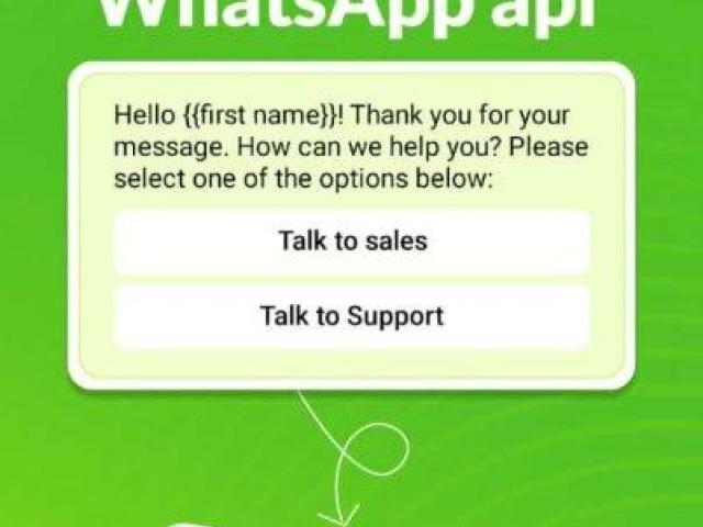 WhatsApp business API