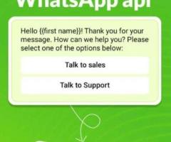 WhatsApp business API