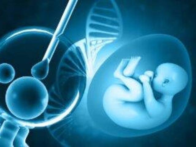 Advanced Test Tube Baby in Kolkata at Uma Medical – Trusted IVF Care