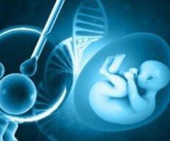 Advanced Test Tube Baby in Kolkata at Uma Medical – Trusted IVF Care