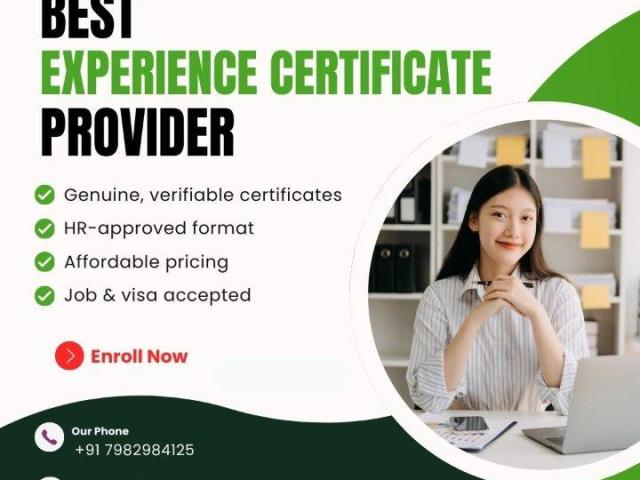 Experience Certificates Provider in Delhi
