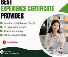 Experience Certificates Provider in Delhi