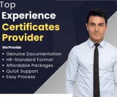 Experience Certificates Provider in Noida