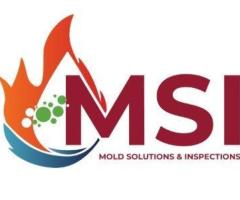Mold Solutions & Inspections
