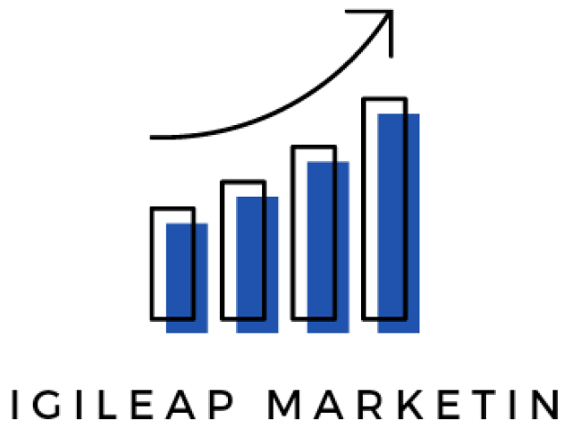 Affordable SEO & Online Marketing Services in India – Digileap