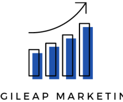 Affordable SEO & Online Marketing Services in India – Digileap