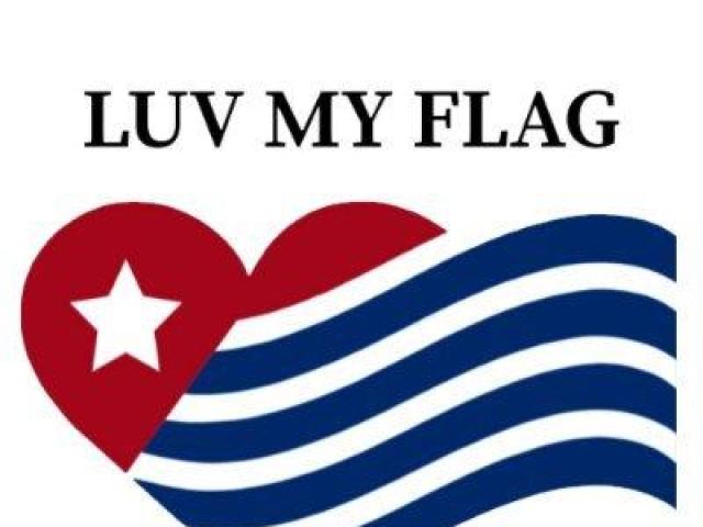 Flag shoes and sneakers