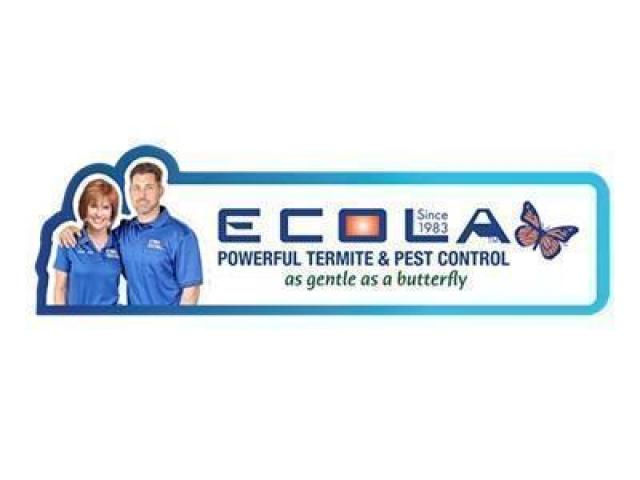 Ecola Termite - Ventura County