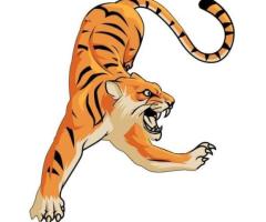 Best IT consulting company in Canada