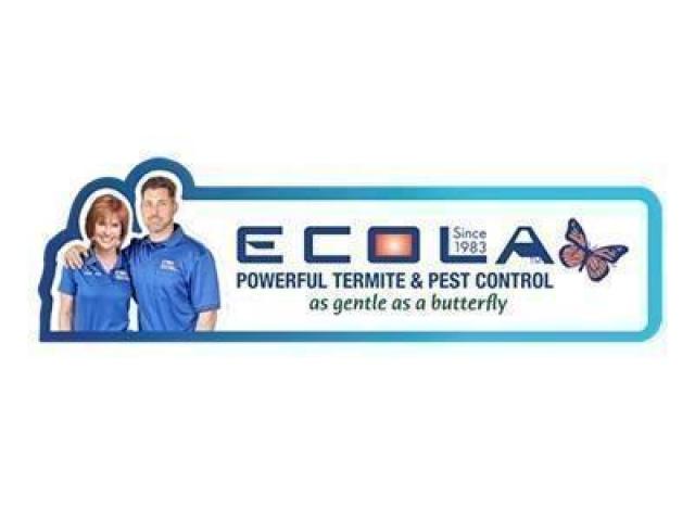 Ecola Termite - Orange County