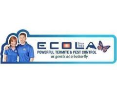 Ecola Termite - Orange County