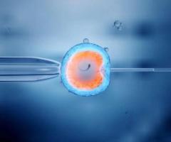The Best IVF Center in Kolkata