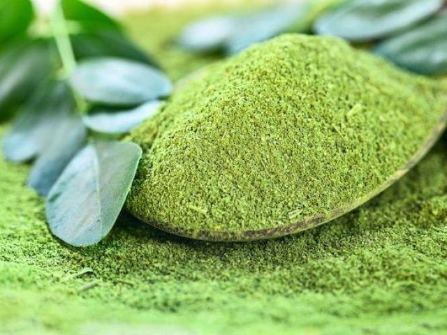 Best Moringa Powder in Delhi – Bulk Moringa Powder Suppliers | WorldsIndia