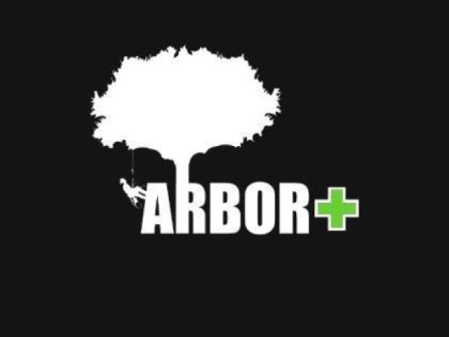 Arbor Plus