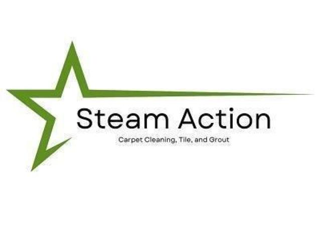 Steam Action Carpet Cleaning