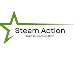Steam Action Carpet Cleaning