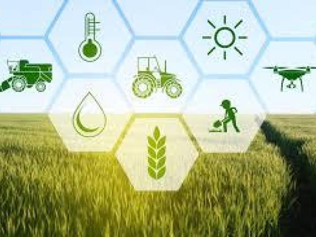 Best Agriculture Suppliers in Mumbai