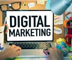 Top SEO Agency in Delhi/NCR for Small Businesses